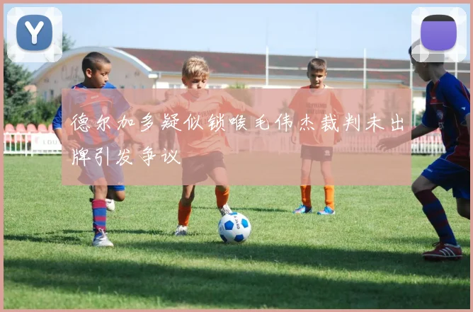 德尔加多疑似锁喉毛伟杰裁判未出牌引发争议