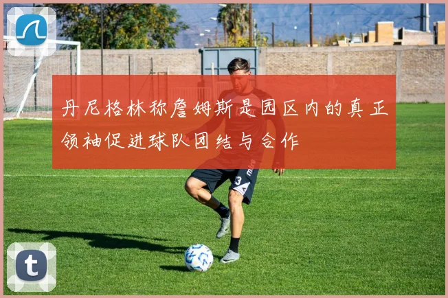 丹尼格林称詹姆斯是园区内的真正领袖促进球队团结与合作