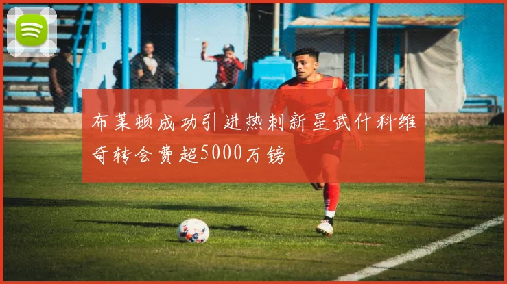 布莱顿成功引进热刺新星武什科维奇转会费超5000万镑